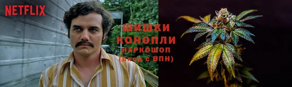 стаф Пересвет