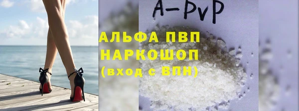 стаф Пересвет