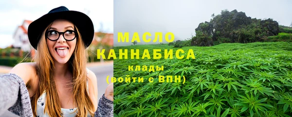 стаф Пересвет