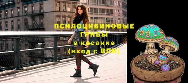 дмт Переславль-Залесский