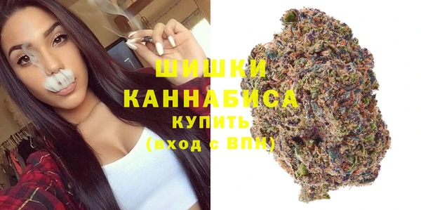 дмт Переславль-Залесский