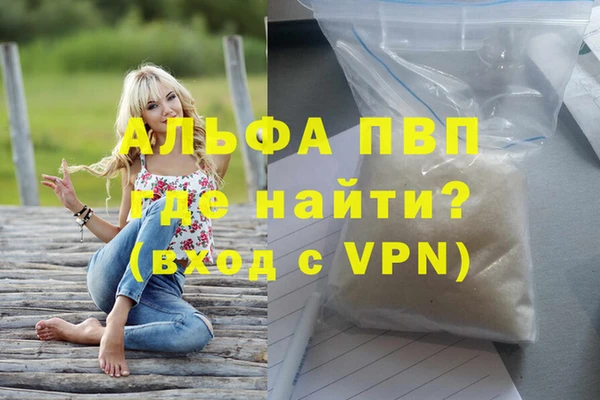 стаф Пересвет