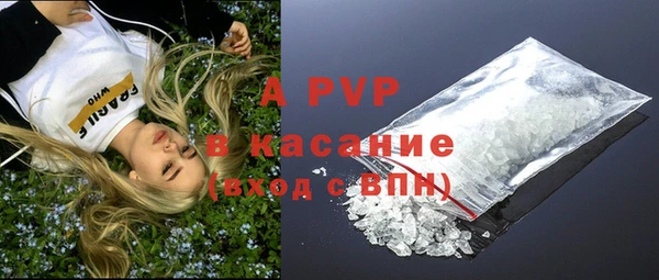 дмт Переславль-Залесский