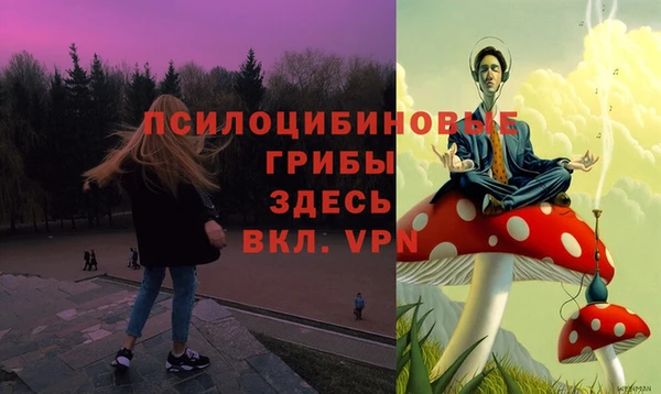 дмт Переславль-Залесский