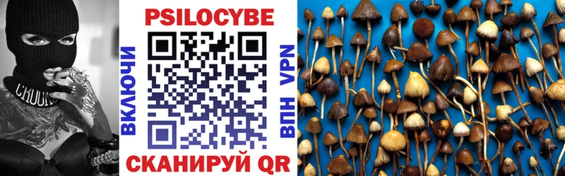 Псилоцибиновые грибы мицелий  Баймак 
